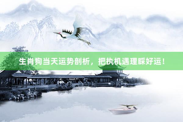 生肖狗当天运势剖析，把执机遇理睬好运！