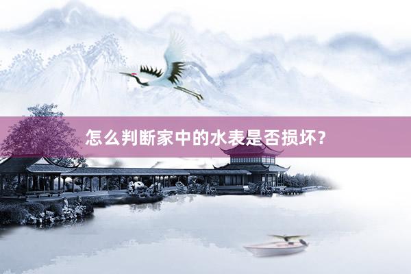 怎么判断家中的水表是否损坏？