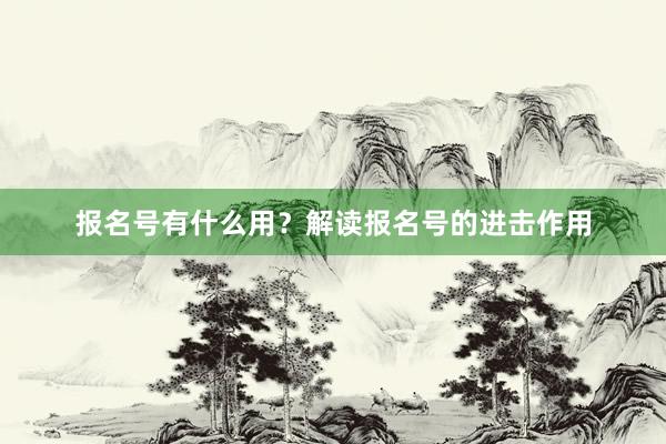 报名号有什么用？解读报名号的进击作用