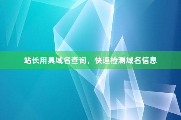 站长用具域名查询，快速检测域名信息