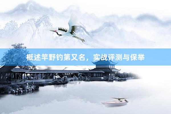 概述竿野钓第又名，实战评测与保举