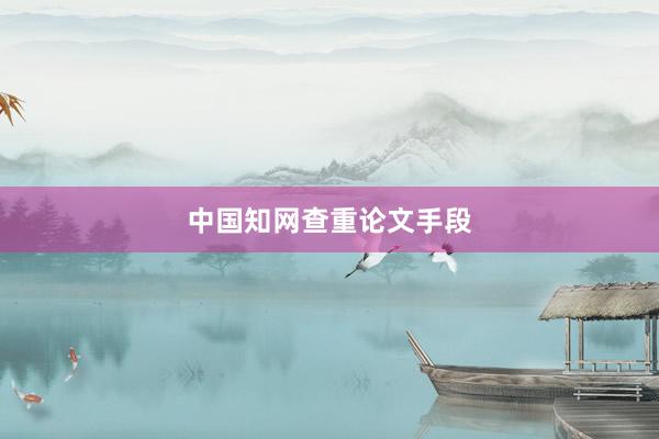 中国知网查重论文手段