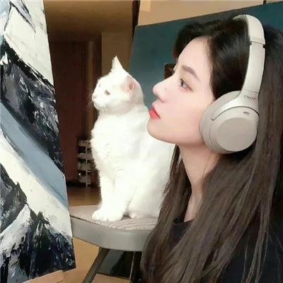 元气奇事
